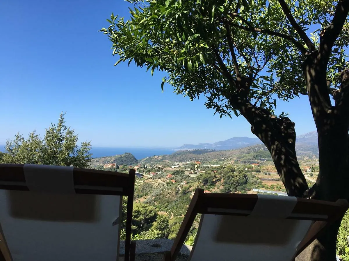 Holiday home Il Mandarino Villa Vallebona