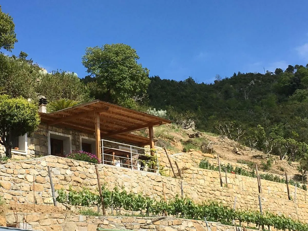 Il Mandarino Villa Vallebona Holiday home