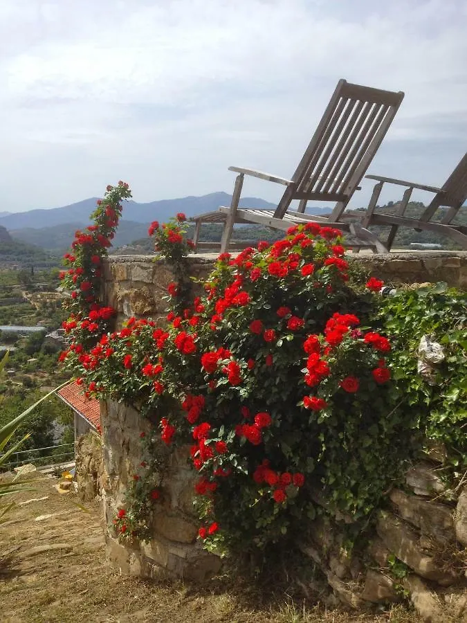 Il Mandarino Villa Vallebona Holiday home
